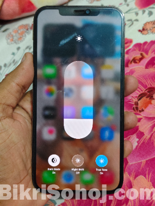 IPHONE 12 PRO MAX 256GB